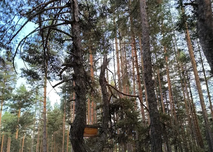 شقة славяна فيلينغراد