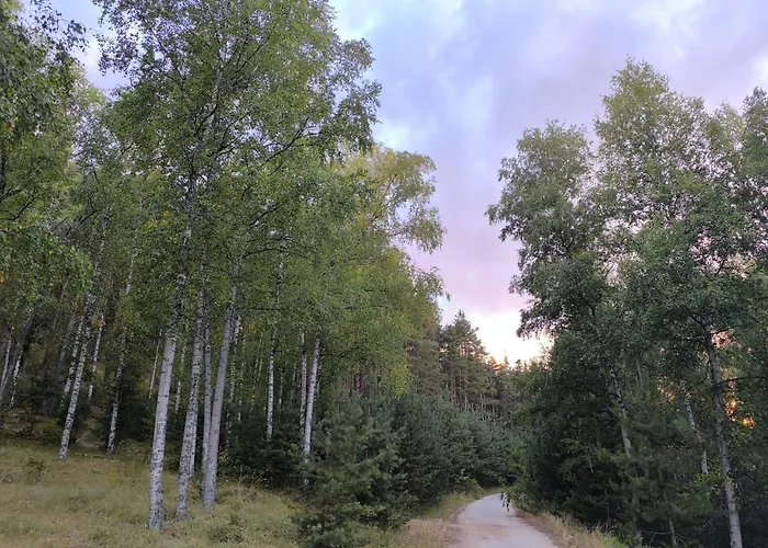 славяна Apartment Velingrad