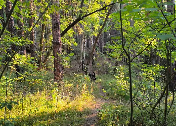 славяна Apartment Welingrad