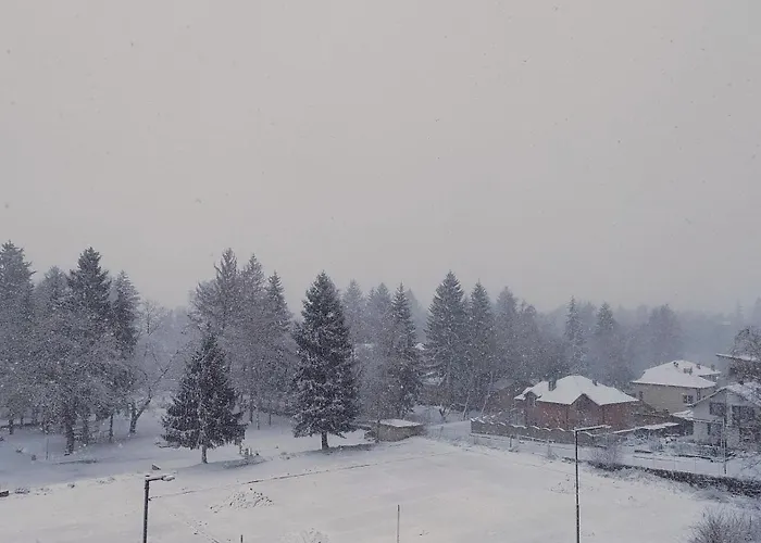 славяна * Velingrad