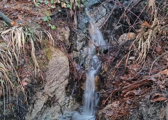 شقة славяна