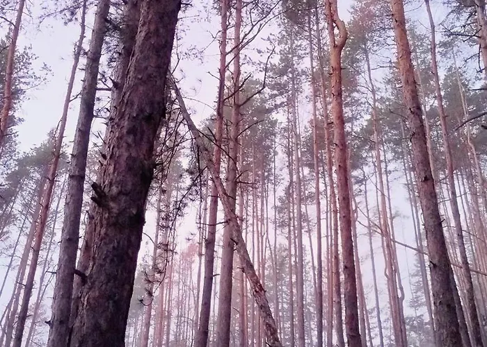 Apartment славяна Welingrad